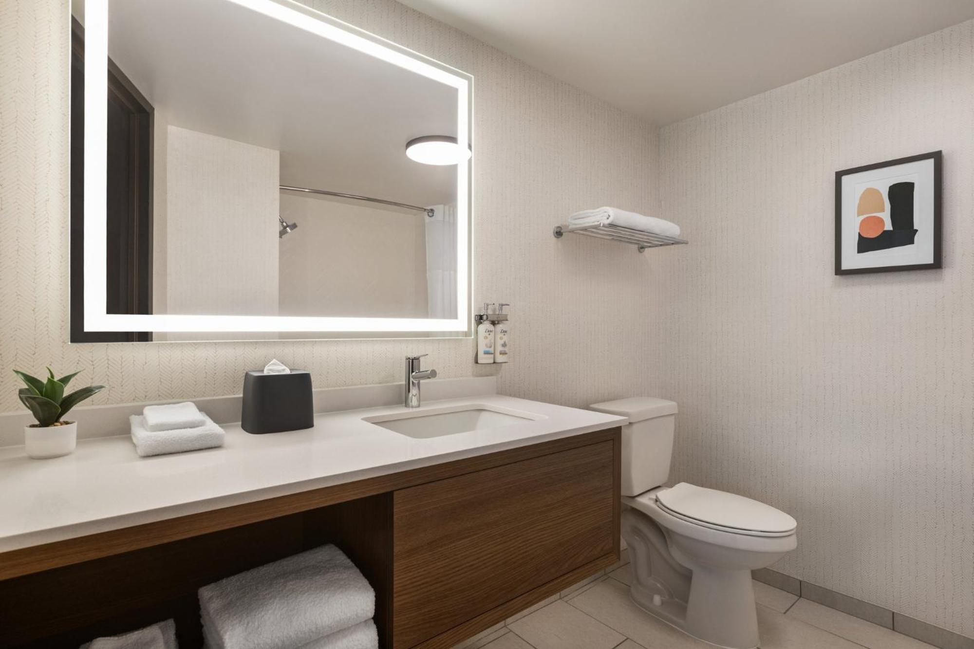 Holiday Inn Nashville Downtown - Stadium By Ihg Dış mekan fotoğraf